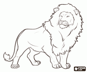 Le Lion Male Avec Sa Criniere Une Famille De Lions le lion male avec sa