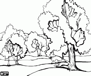 Coloriage Paysage